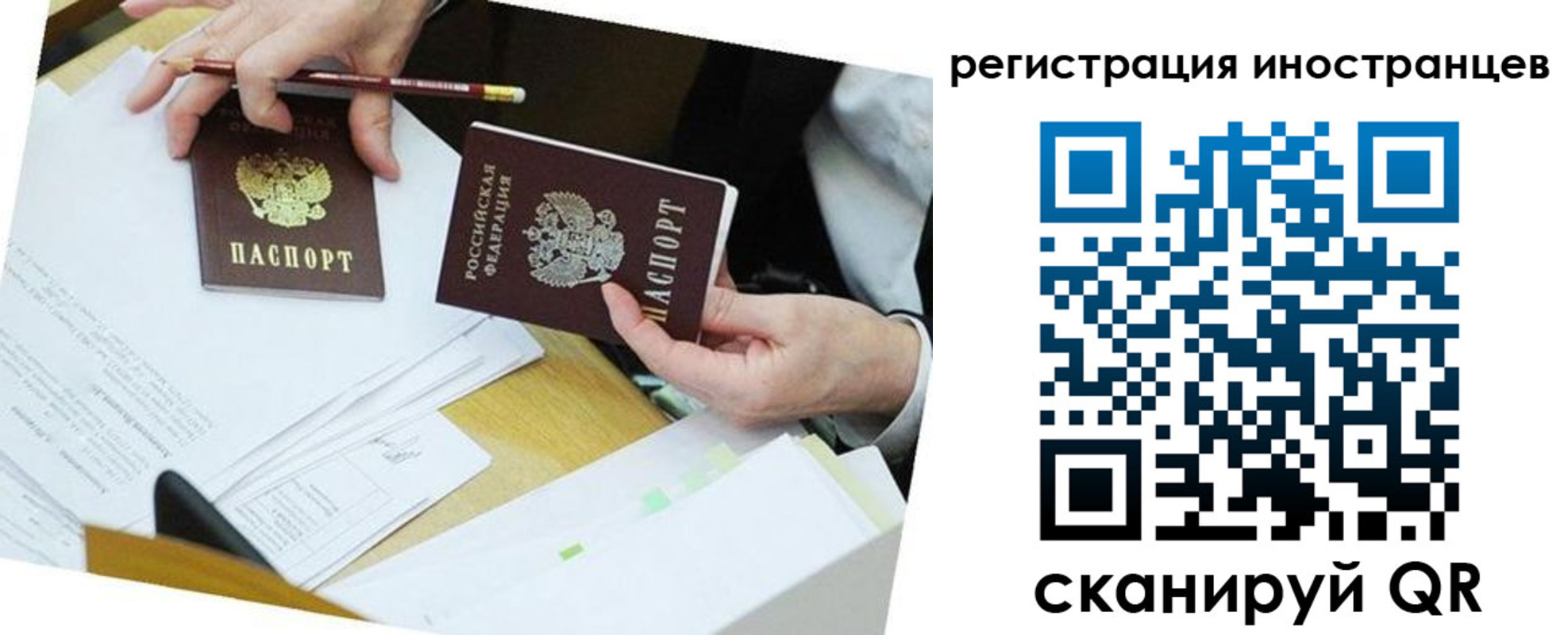 прописка ребенка в Владимирской области